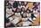 Kiamuki High School Cheerleaders, 2002-Joe Heaps Nelson-Framed Stretched Canvas
