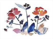 Peregrine Garden-Kiana Mosley-Art Print