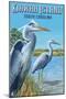 Kiawah Island, South Carolina - Blue Herons-Lantern Press-Mounted Art Print