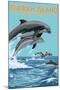 Kiawah Island, South Carolina - Dolphins Jumping-Lantern Press-Mounted Art Print