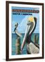 Kiawah Island, South Carolina - Pelicans-Lantern Press-Framed Art Print