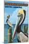 Kiawah Island, South Carolina - Pelicans-Lantern Press-Mounted Art Print