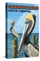 Kiawah Island, South Carolina - Pelicans-Lantern Press-Stretched Canvas