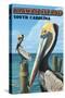 Kiawah Island, South Carolina - Pelicans-Lantern Press-Stretched Canvas
