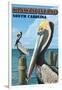 Kiawah Island, South Carolina - Pelicans-Lantern Press-Framed Art Print