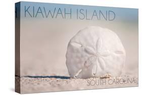 Kiawah Island, South Carolina - Sand Dollar and Beach-Lantern Press-Stretched Canvas