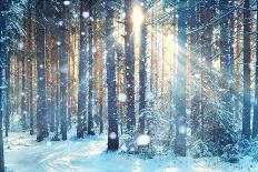 Frosty Winter Landscape in Snowy Forest-Kichigin-Photographic Print
