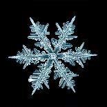 Snowflake Isolated Natural Crystal-Kichigin-Framed Photographic Print