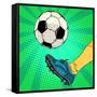 Kick a Soccer Ball-Valeriy Kachaev-Framed Stretched Canvas