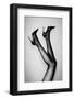 Kick up Your Heels #03-1x Studio III-Framed Photographic Print