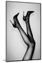 Kick up Your Heels #03-1x Studio III-Mounted Photographic Print