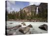 Kicking Horse River and Takakkaw Falls, Yoho National Park, UNESCO World Heritage Site, British Col-Martin Child-Stretched Canvas