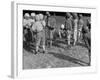 Kid's Football, Talking it over During Scrimmage-null-Framed Photographic Print
