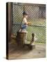Kid with Baseball-Dianne Dengel-Stretched Canvas