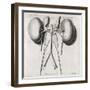 Kidney Anatomy, 18th Century-Middle Temple Library-Framed Photographic Print