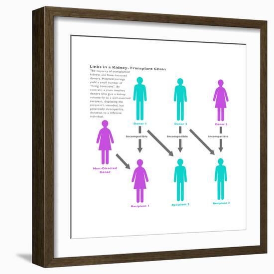 Kidney Chain Chart-Gwen Shockey-Framed Art Print