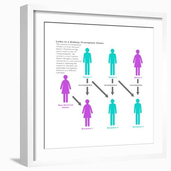 Kidney Chain Chart-Gwen Shockey-Framed Art Print