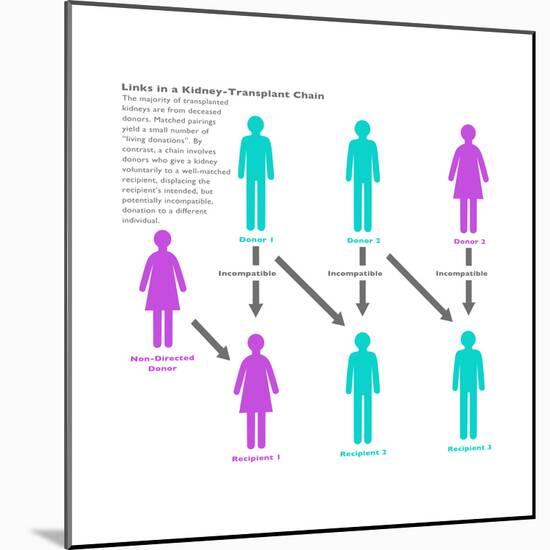 Kidney Chain Chart-Gwen Shockey-Mounted Art Print