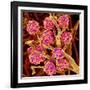 Kidney Glomeruli, SEM-Susumu Nishinaga-Framed Photographic Print