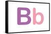 Kids Alphabet Letter B Sign Poster-null-Framed Stretched Canvas