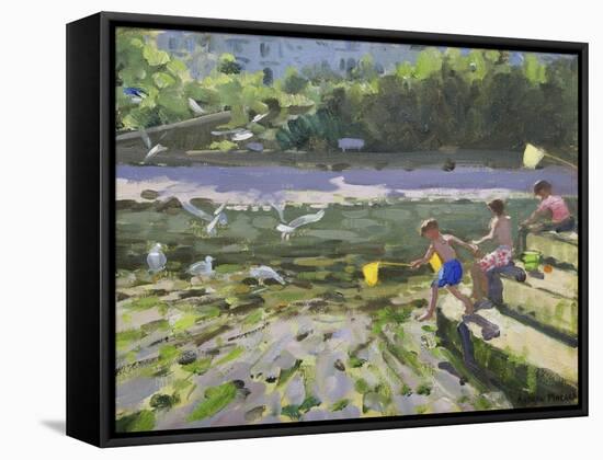 Kids and Seagulls, Looe , 2013-Andrew Macara-Framed Stretched Canvas