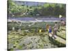 Kids and Seagulls, Looe , 2013-Andrew Macara-Stretched Canvas