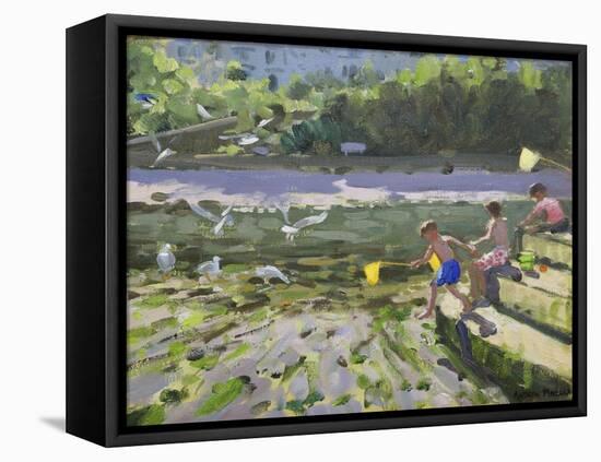 Kids and Seagulls, Looe , 2013-Andrew Macara-Framed Stretched Canvas