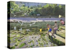 Kids and Seagulls, Looe , 2013-Andrew Macara-Stretched Canvas