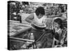 Kids in Supermarket, Experiment by Kroger Food Foundation, Children Let Loose in Kroger Supermarket-Francis Miller-Stretched Canvas