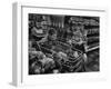 Kids in Supermarket, Experiment by Kroger Food Foundation, Children Let Loose in Kroger Supermarket-Francis Miller-Framed Photographic Print