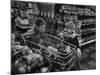 Kids in Supermarket, Experiment by Kroger Food Foundation, Children Let Loose in Kroger Supermarket-Francis Miller-Mounted Photographic Print