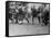 Kids Lining up Like Line Men Ready to Play-Wallace Kirkland-Framed Stretched Canvas