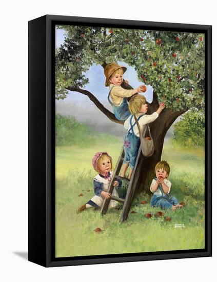 Kids Picking Apples-Dianne Dengel-Framed Stretched Canvas