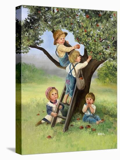 Kids Picking Apples-Dianne Dengel-Stretched Canvas