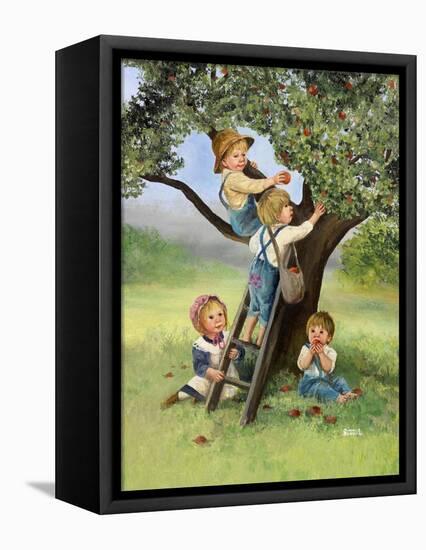 Kids Picking Apples-Dianne Dengel-Framed Stretched Canvas