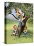 Kids Picking Apples-Dianne Dengel-Stretched Canvas