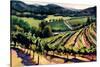 Kieken Vineyard-Janet Vanderhoof-Stretched Canvas