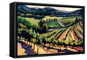 Kieken Vineyard-Janet Vanderhoof-Framed Stretched Canvas