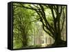 Kielder Forest Park, Northumberland, England-Paul Harris-Framed Stretched Canvas