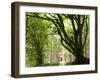 Kielder Forest Park, Northumberland, England-Paul Harris-Framed Photographic Print