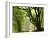 Kielder Forest Park, Northumberland, England-Paul Harris-Framed Photographic Print
