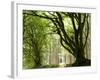 Kielder Forest Park, Northumberland, England-Paul Harris-Framed Photographic Print