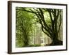 Kielder Forest Park, Northumberland, England-Paul Harris-Framed Photographic Print