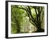 Kielder Forest Park, Northumberland, England-Paul Harris-Framed Photographic Print