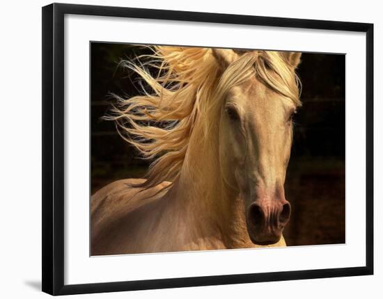 Kieto II-Tony Stromberg-Framed Art Print