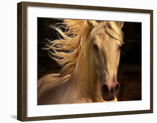 Kieto II-Tony Stromberg-Framed Art Print