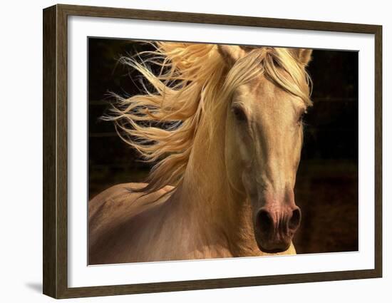 Kieto II-Tony Stromberg-Framed Art Print