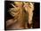 Kieto II-Tony Stromberg-Framed Stretched Canvas