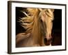 Kieto II-Tony Stromberg-Framed Photographic Print