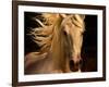 Kieto II-Tony Stromberg-Framed Photographic Print